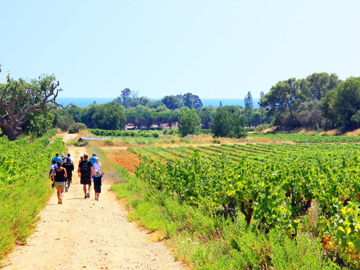 village vacances la londe les maure azureva vignes provence